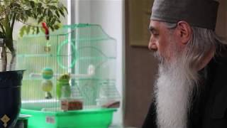 Послушный Попугайчик