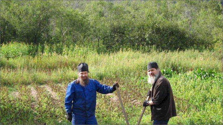 Общее полсушание - уборка картошки