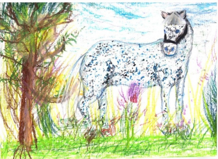 Третье место (второй рисунок)