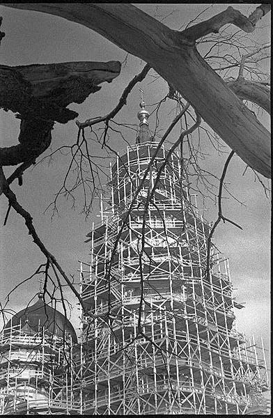 Фотограф Александр Яковчук