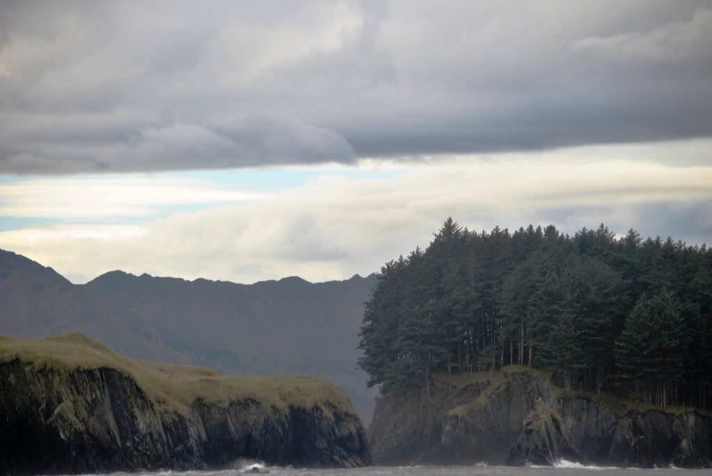 Спрус, или Еловый остров (англ. Spruce Island) — остров, входящий в состав Кадьякского архипелага в заливе Аляска (штат Аляска, США)