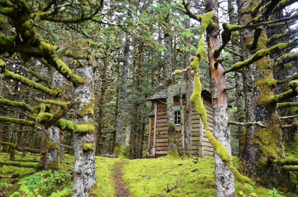 Рельеф острова холмистый, и наивысшая точка находится в его восточной части — это гора Германа высотой в 379 м. Такое название гора получила в 1933 году в честь прп. Германа Аляскинского