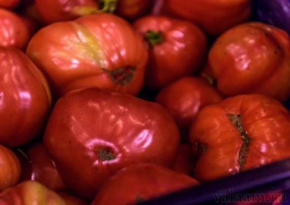 Хоть сейчас на стол