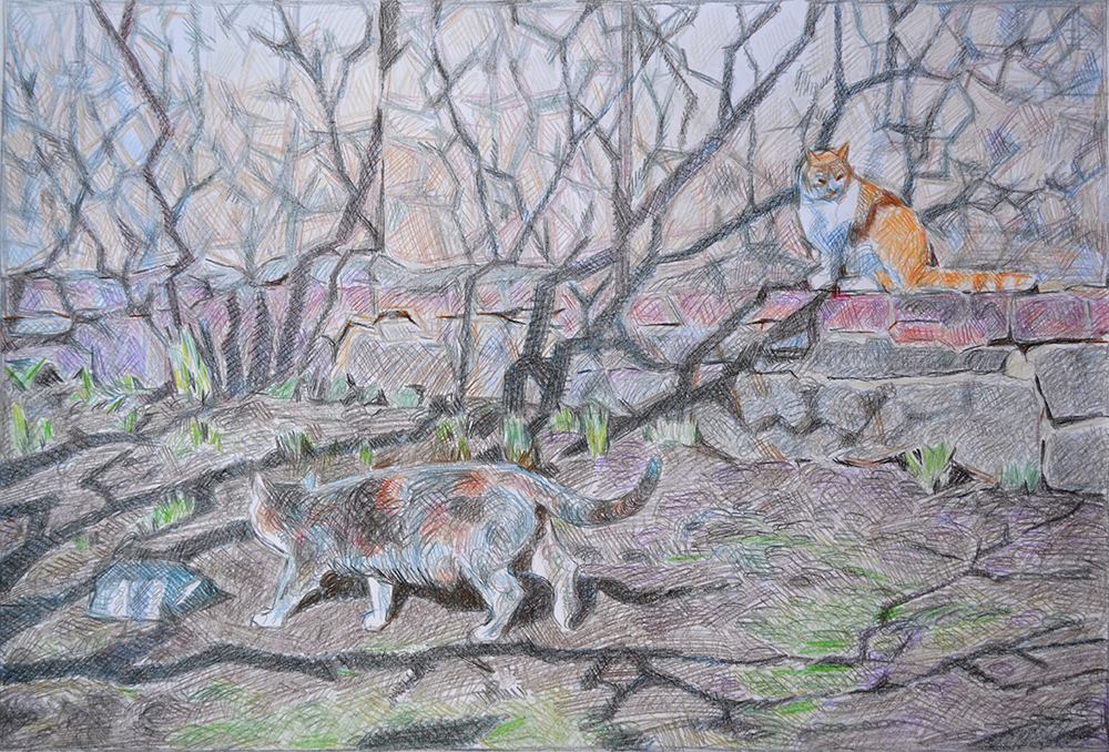 Владимир Исупов 