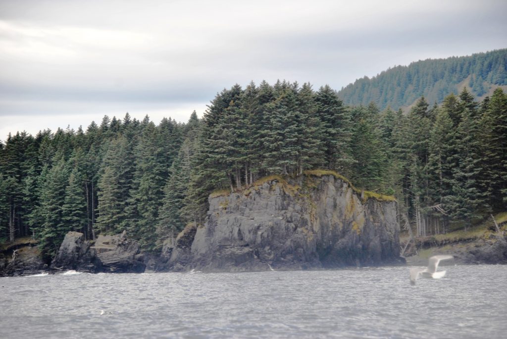 Длина острова Еловый около 10 км, ширина 7 км, площадь 46 км²