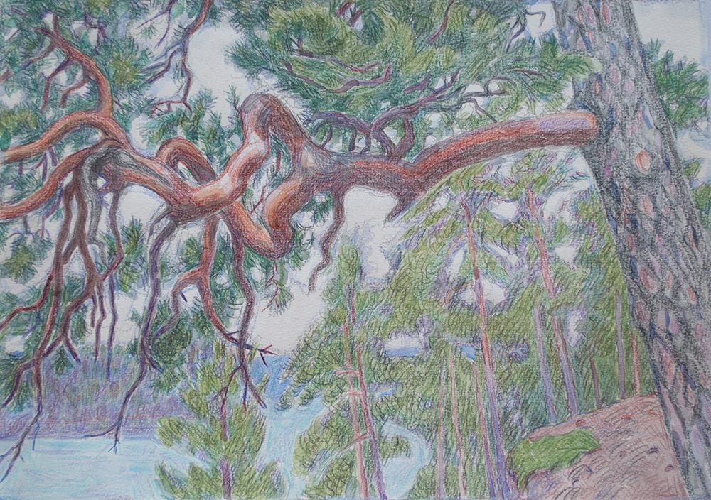 Владимир Исупов 