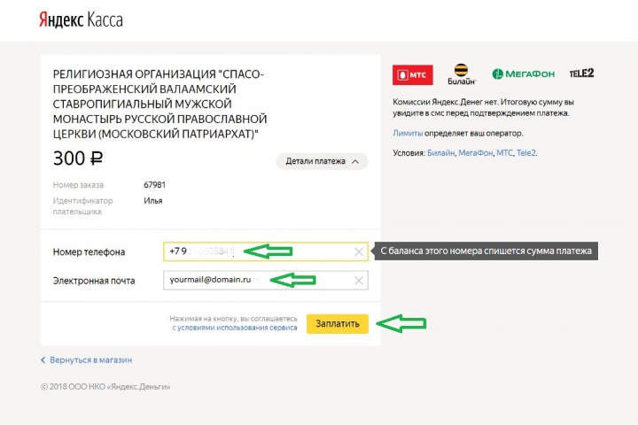 Укажите номер телефона, с которого будет списана сумма. Для получения письма на вашу электронную почту кликните по ссылке и введите данные.