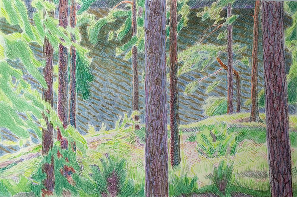 Владимир Исупов 