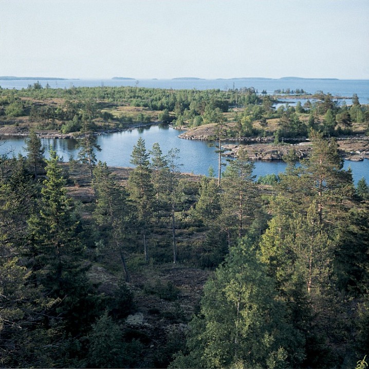 Местность Железняки. 1993 г.