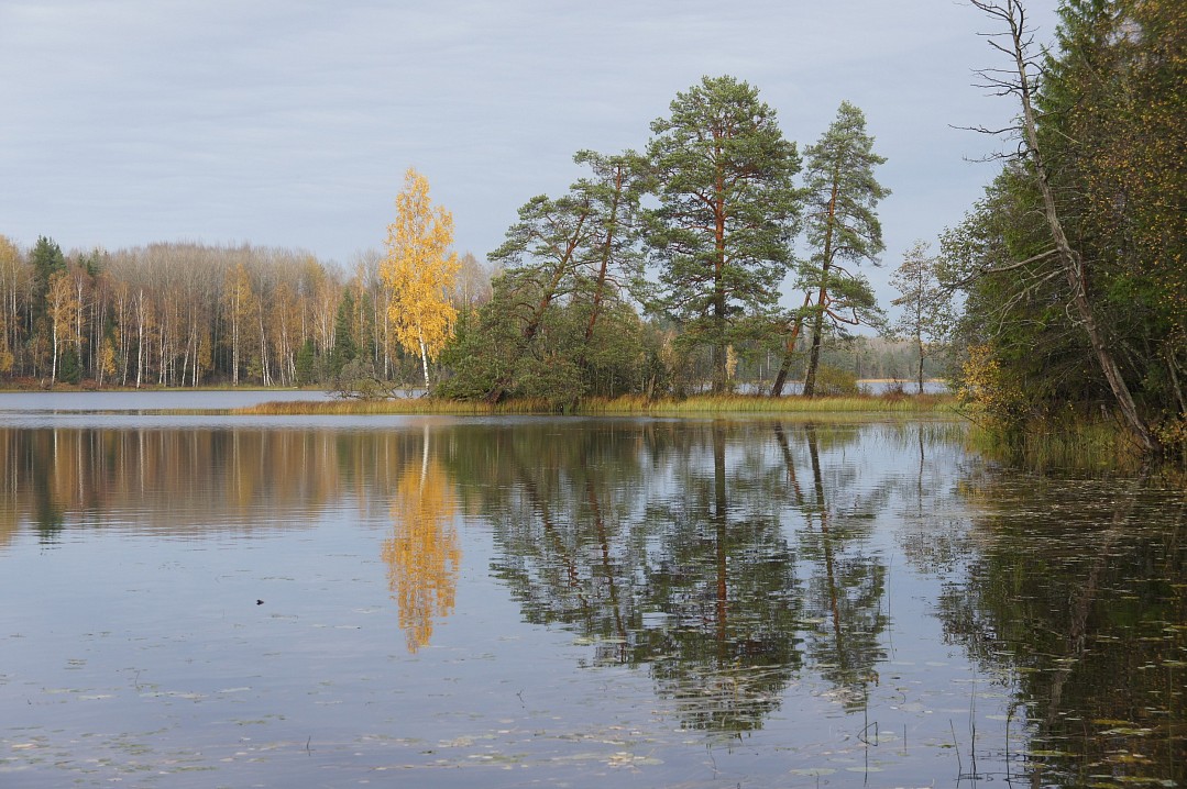 Озеро Сосница близ Ножкино. 7 октября 2011 г.