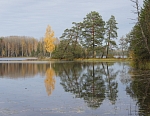 Озеро Сосница близ Ножкино. 7 октября 2011 г.