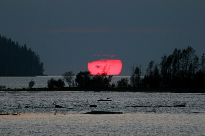 Павел Козионов