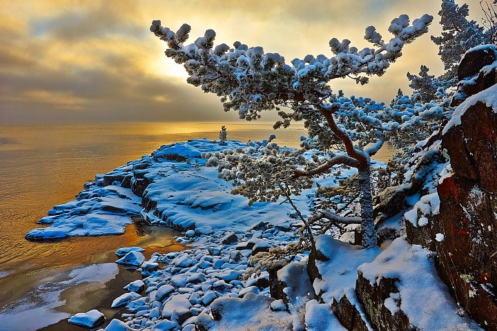 Зимние этюды