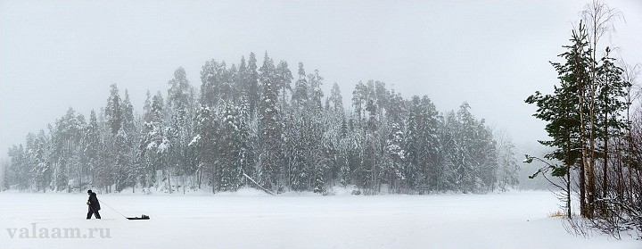 Зимний Покой