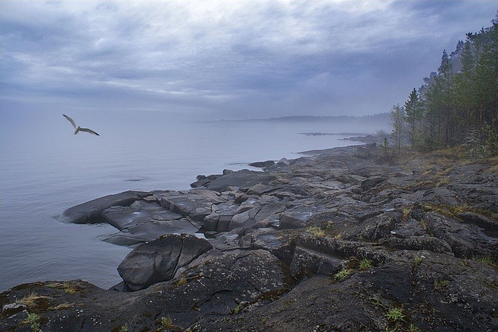 Туман над Ладогой