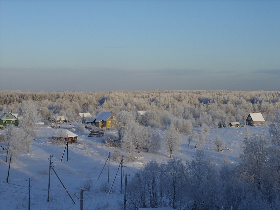 Вид с колокольни Внутовской церкви. 4 января 2009 г.