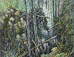 Лесной бурелом 60x40 см. Холст. Масло. 1993