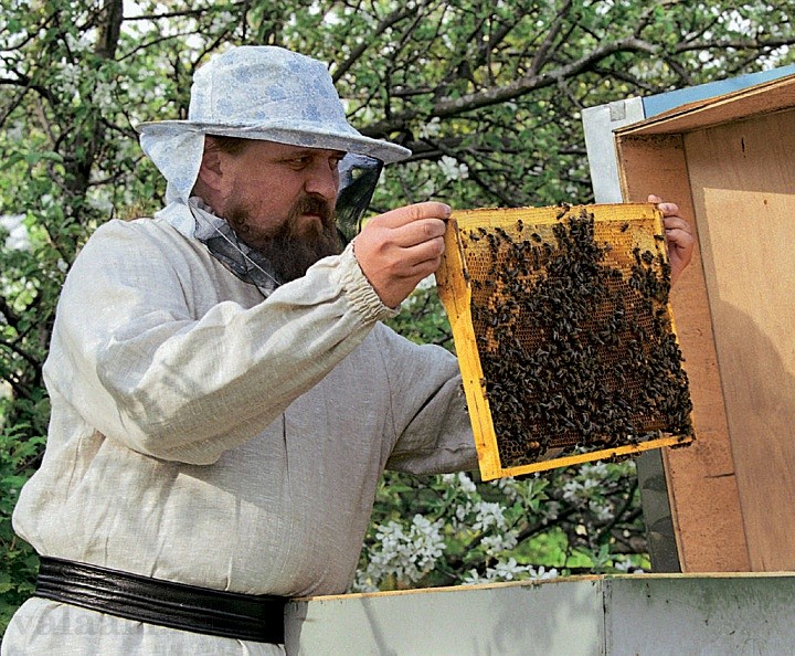 Мед с монастырской пасеки поступает в братскую трапезную. 2002 г.