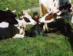 Звёздочка, Пулька, Алексей и Булька. Фото Андрея Пузыревского. Лето 2003 года