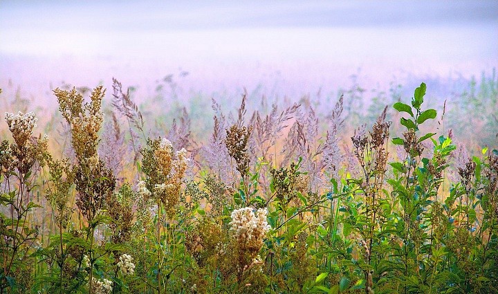 Земля благословенная