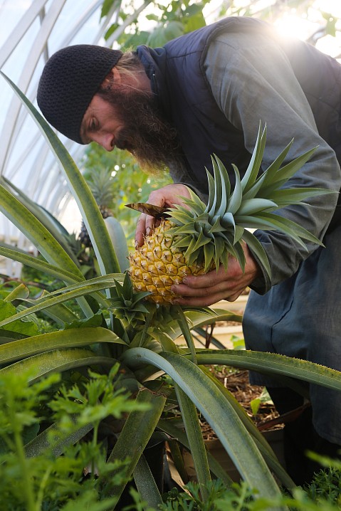 Инок Иларион