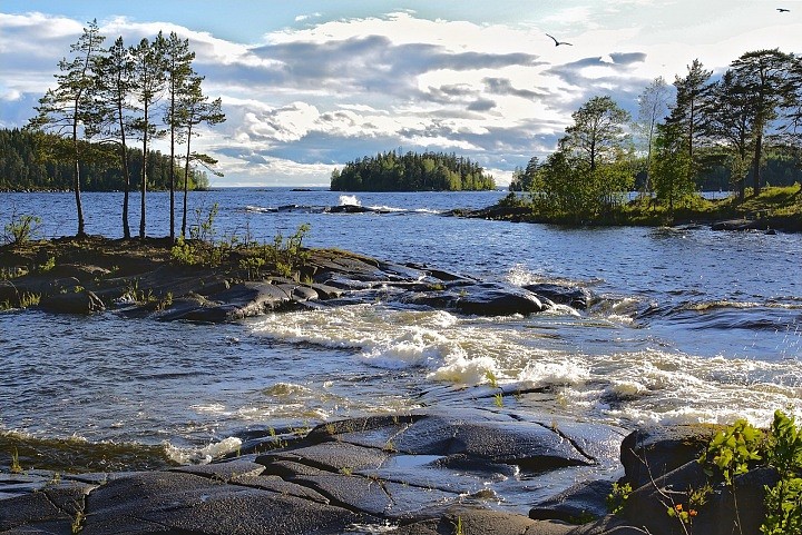 Ветренный день