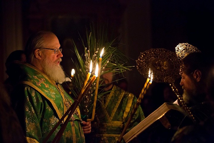 Вход Господень в Иерусалим является одним из главных событий последних дней земной жизни Господа Иисуса Христа; оно описано четырьмя евангелистами