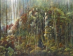 Скитская жизнь на 