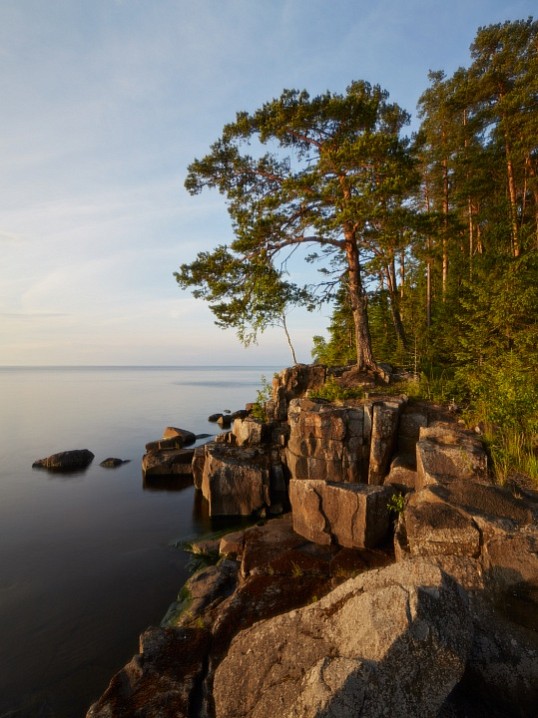 Сосны на скалах (Предтеченский остров)
