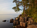 Сосны на скалах (Предтеченский остров)