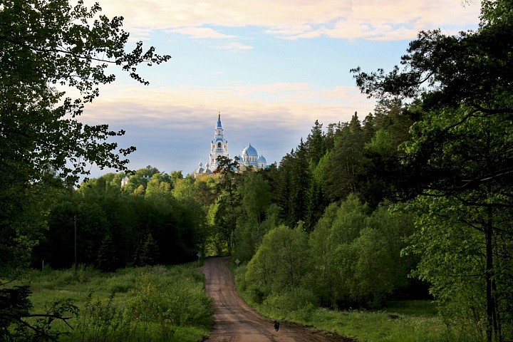 Вид на собор.