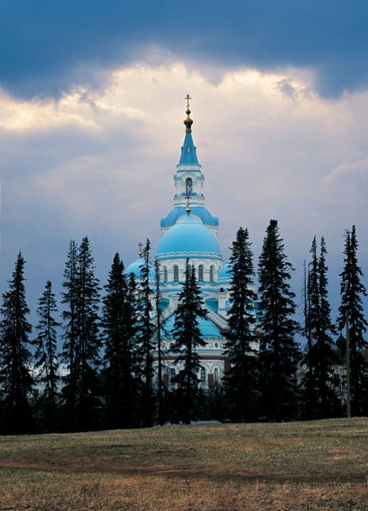 Стройные пихты высажены вдоль аллей. 2002 г.