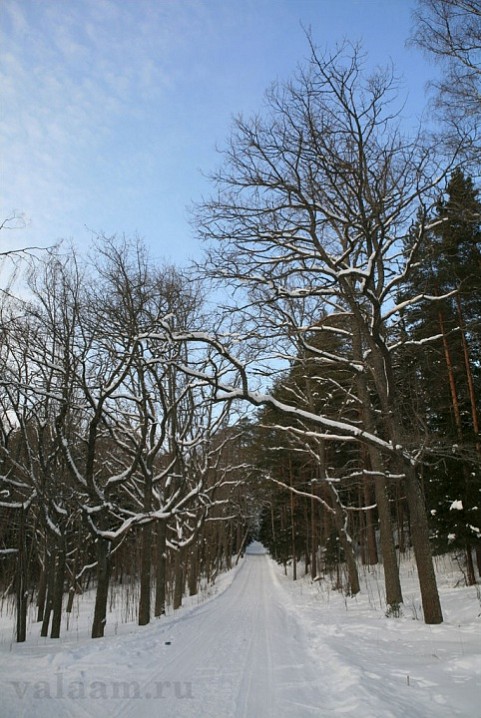 Зимняя дорога.