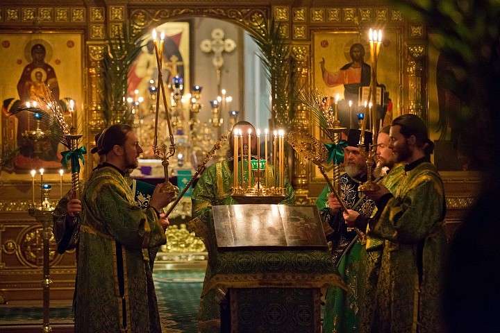 Вход в Иерусалим происходит в обстановке встречи царя; это высшая точка публичности в Евангелиях