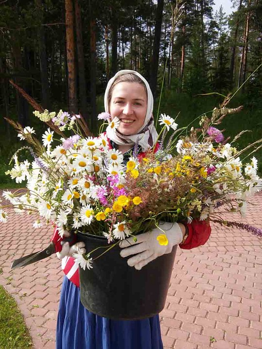Цветы к празднику, Светлана Соколова