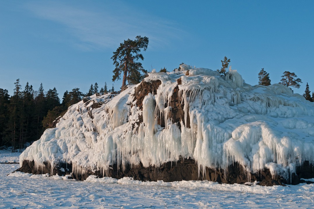 Ледяной покров, Денис Федоров