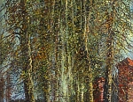 Аллея 