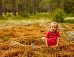 Кукушкин лён этим летом меня поражал своей красотой и фотогеничностью. Эта полянка по дороге к Харлашкиной бухте, наш любимый марщрут в этом году, 2015