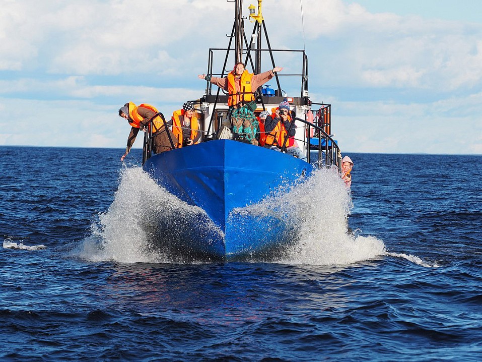 Возвращение со Святого острова, Дмитрий Ерохин