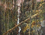 Лесной водопад 73x53 см. Холст. Масло. 1996 г