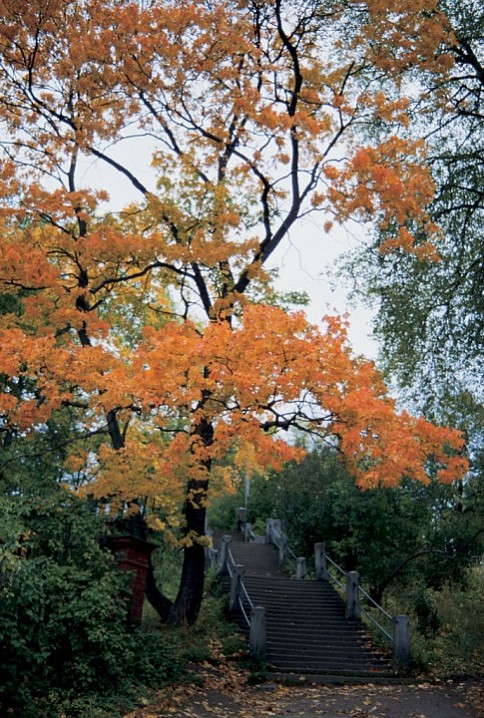 Гранитная лестница. 1993 г.