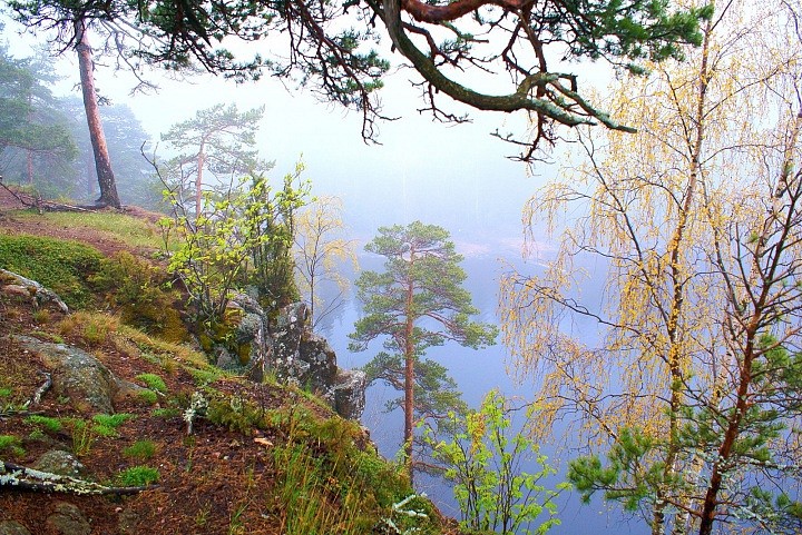 После дождя