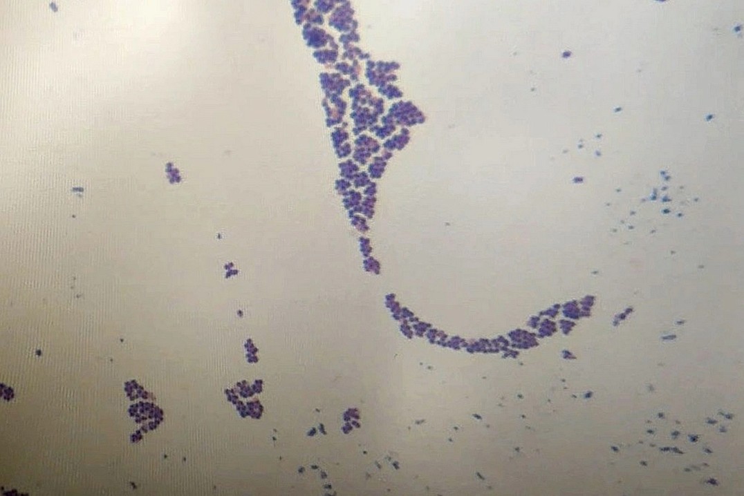 Фото Святослава Акимова