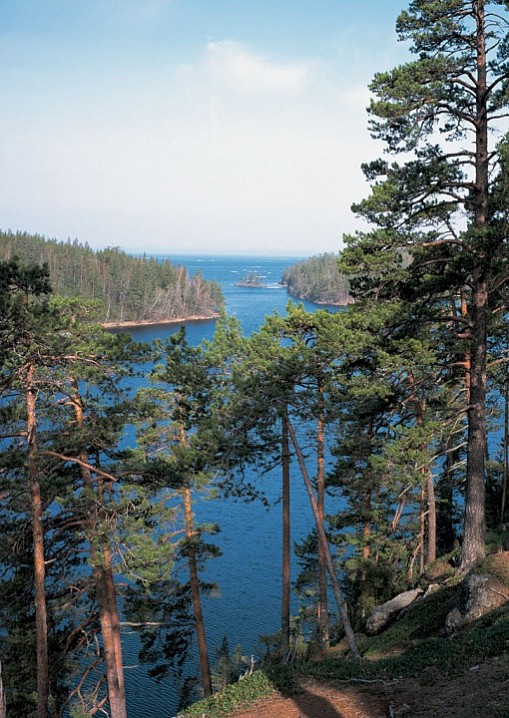 Малая Никоновская бухта. 2002 г.