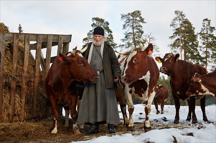 Монастырский пастух