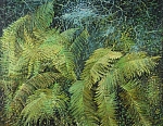 Папоротники 79x62 см. Холст. Масло. 1997 г.