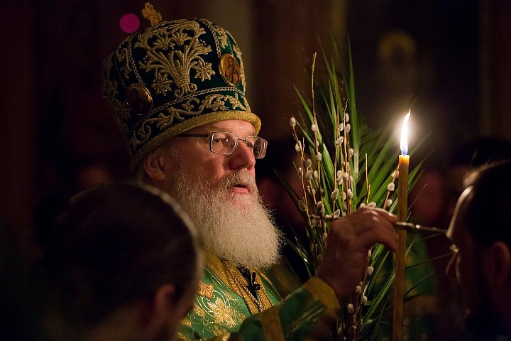 Торжественное прибытие Спасителя в Святой град накануне праздника Пасхи предшествовало Его Страстям и было осуществлением ветхозаветных пророчеств (в первую очередь Быт. 49: 10–11; Пс. 8: 2–3; Зах. 9: 9).