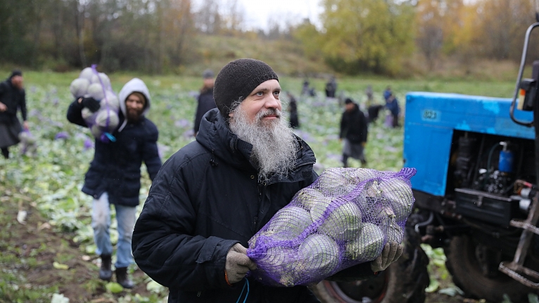 Последний сбор урожая