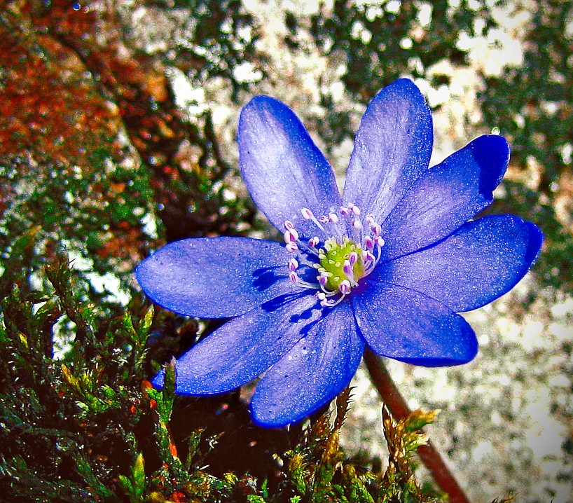 Фото иеродиакона Августина