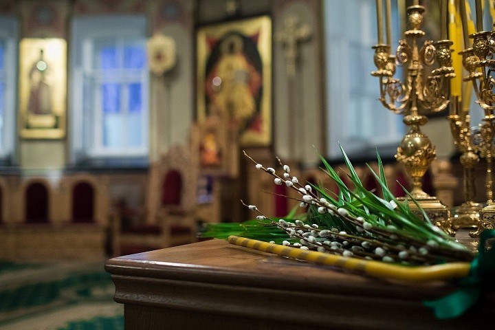 Верба – символ весны, присущего этому времени года духовного возрождения. Она таит в себе листья, но еще не выпускает, и тем дает понять, что наша радость от праздника Входа Господня неполна, но таит в себе начатки великой пасхальной радости.